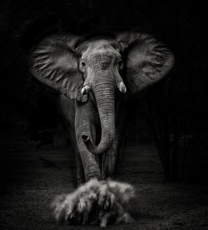 People's Choice winners of The Mono Awards 2020