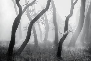 The Landscape Awards: Five more quickfire photo tips for a winning entry
