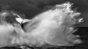 The Mono Awards 2023 presented by SanDisk: Winners announced