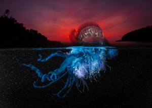 Head On Photo Festival: now accepting submissions for 2021