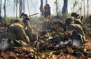 Land: Army blending live and simulated training more | ADM March 2013