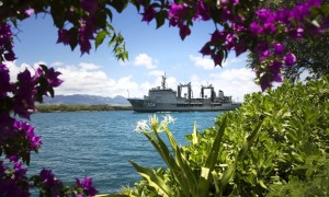 RIMPAC's amphibians