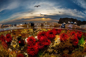 20,000 ISO under the sea