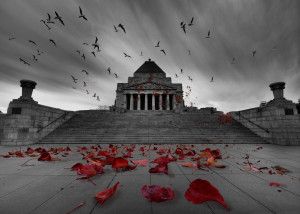 APS Behind the Lens: The Shrine of Remembrance
