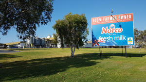 Norco forges a new whey forward