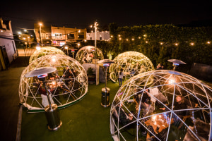 American Honey warms Melbourne this winter