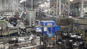 Changing patterns of bottling line behaviour