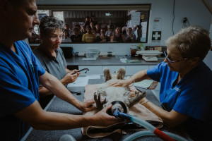 28 finalists revealed in $10,000 Australian Life annual competition