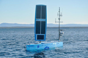 Navy to acquire Bluebottle USVs