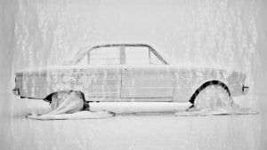 Pandemonium exhibition set to show 'distressed' images in Sydney
