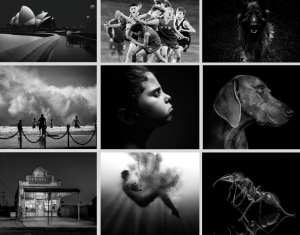 The Mono Awards 2021 &ndash; People's Choice winners revealed 
