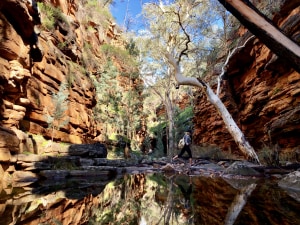 South Australia&rsquo;s top waterfall walks
