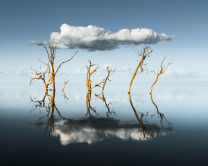 International Landscape Photographer of the Year crowned