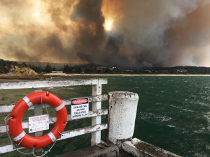 Tathra fires devastate trail network