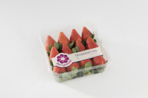 New strawberry producer takes to the fridge