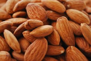 Almond exports push towards $600 million