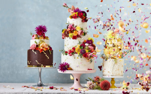 World&rsquo;s best food photographs served up