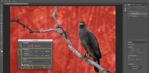 Tutorial: How to make precise selections in Photoshop