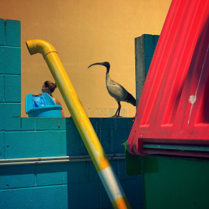 Australian photographer takes out global Mobile Photography Awards