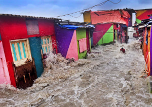 2019 Environmental Photographer of the Year images reveal the &lsquo;raw reality&rsquo; of climate change