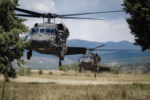 Army dumps Taipans