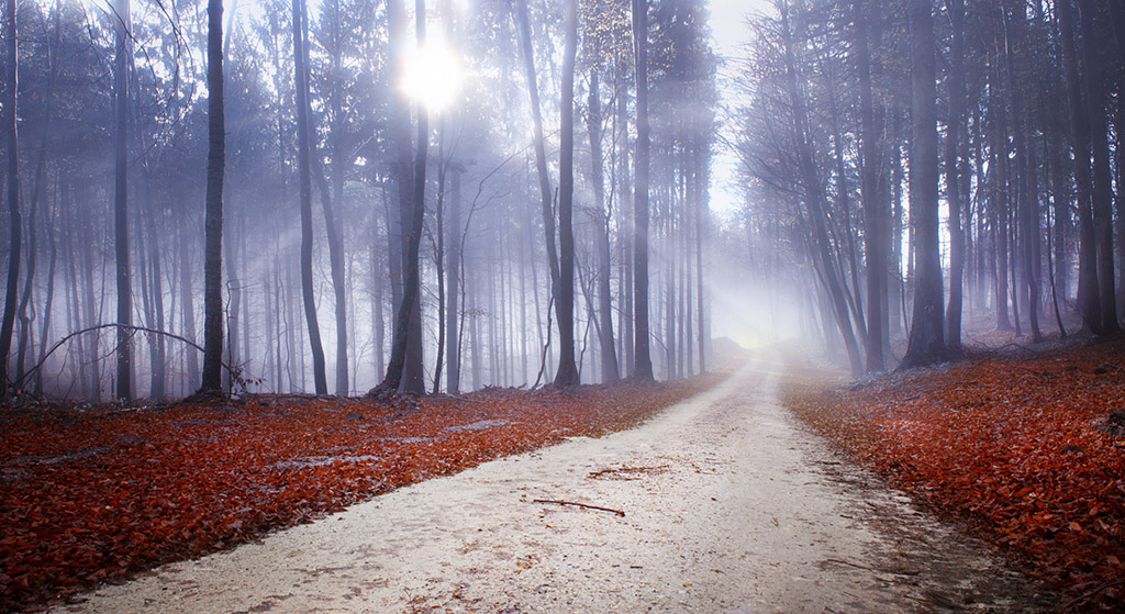 Photo Tip of the Week: How to Shoot Great Pics in Awful Weather (Part Two)