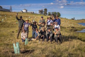 4 Pines, Landcare planting the future