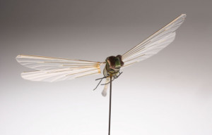 UAV: On the wings of an insect &ndash; DSTO MAV research | ADM May 2014