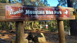 New Awaba MTB Park trail to cater for diverse audience