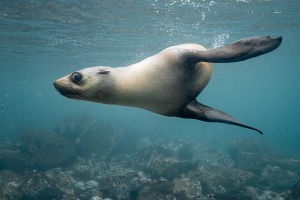 Photographer of the Year: Earlybird pricing ends this week