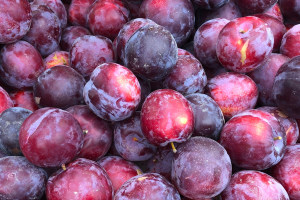 Vietnam market access opens up for Aussie plums
