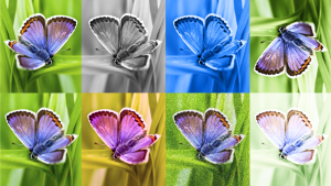 Google creates invisible digital watermarking to identify AI images