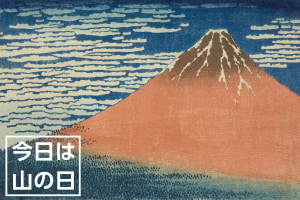 Check out the Tokyo 2020 Olympic MTB course