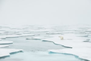 Photographer of the Year 2025 is now open for entries!
