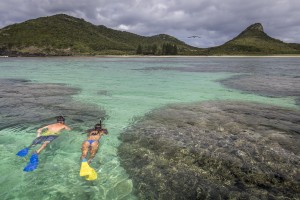 Put Pinetrees Lord Howe Island on your bucket list!