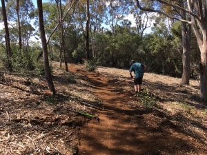 Best of 2019: Mountain biking returns to the Australian Botanic Garden