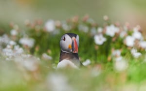 Photographer of the Year 2024 presented by Ted's cameras is now open