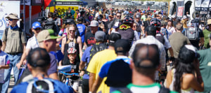 World famous Sea Otter reschedules Australian debut