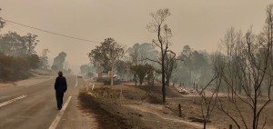 Mogo Trail Hub set to lead regeneration after bushfire devastation