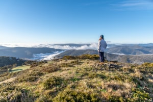Mount Hotham's best walks - part 2