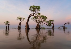 Chasing the Light: 5 things to do BEFORE you enter The Landscape Awards 2026