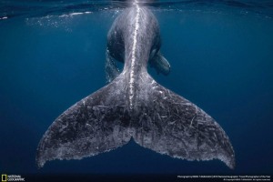 Nat Geo Travel Photographer of the Year winners announced