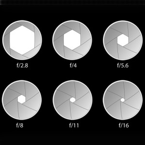 Camera Basics: Understanding Aperture