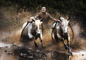 Sony World Photography Awards