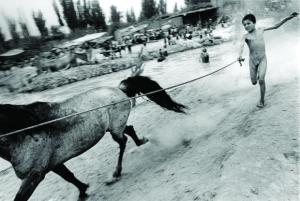 Behind The Camera: Photojournalism from the Hip