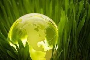 Government supports 2020 energy target 