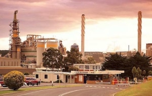 ONE MARYVALE PULP PLANT TO CLOSE