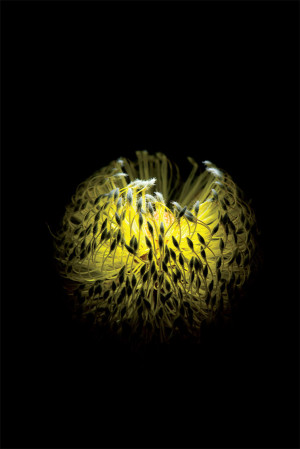 Photo Tip of the Week: Shoot Great Images With a Single Light Source 
