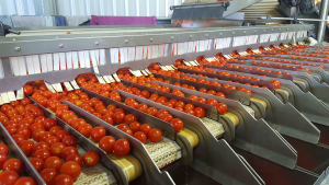 What to expect from ProPak Asia: Tna, Fibre King, Heat and Control