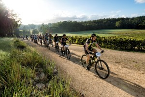 Bago Bluff Mountain Epic